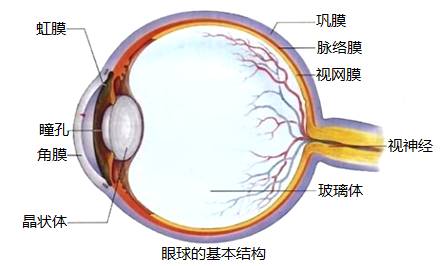 眼角膜上皮剥脱病情严重性评估：需警惕的严重症状》