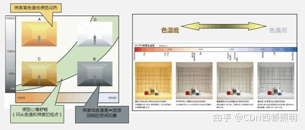 儿学照明选择指南：白光与暖光对比分析及其对作业效率的影响