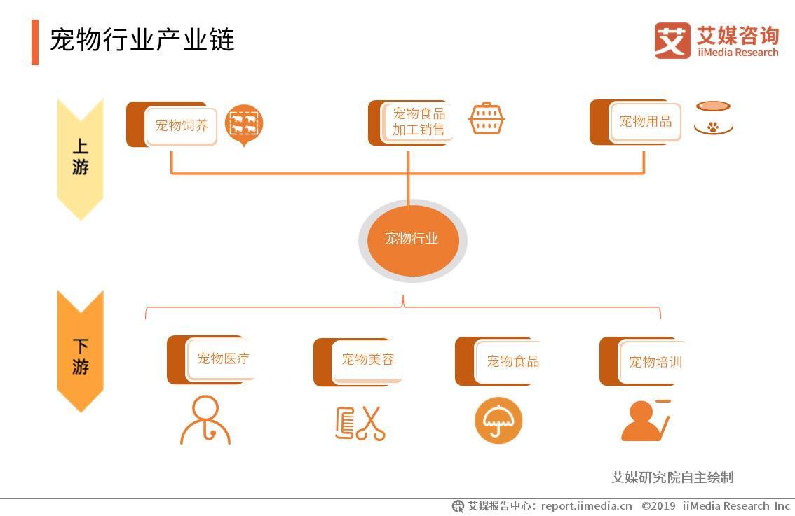 AI宠物拟人化文案创作指南：全面涵写作技巧与用户关注要点