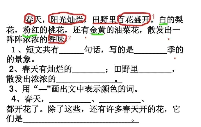 全方位攻略：冠军作业技巧与高效学方法解析