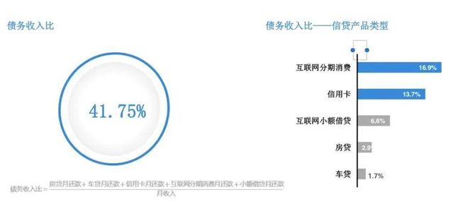 年轻人负债情况：综合分析报告与调研调查指南