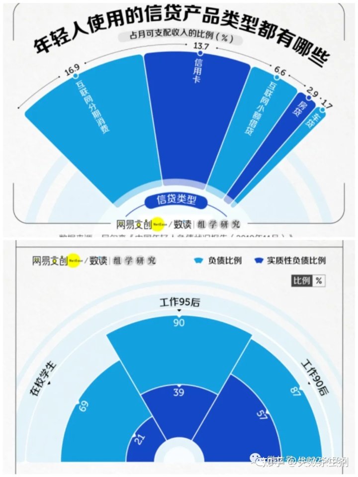 年轻人负债情况：综合分析报告与调研调查指南