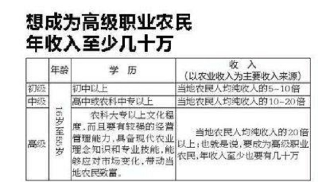 年龄超55岁可以认定工伤嘛：认定标准及赔偿方式解析