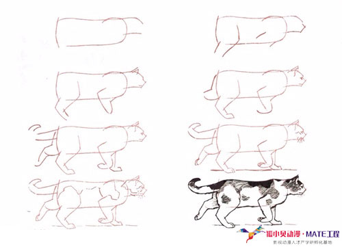 全方位掌握二次元猫咪绘画技巧：从基础到进阶教程解析