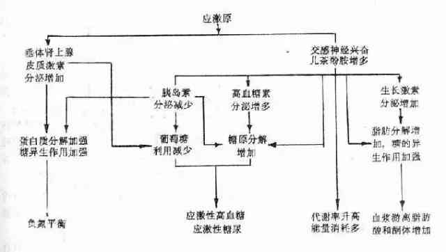 应激相关障碍具体包括：概念、分类及主要方面解析