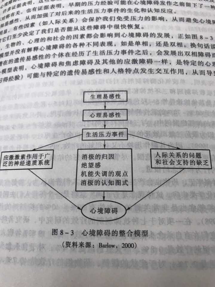 应激相关障碍具体包括：概念、分类及主要方面解析