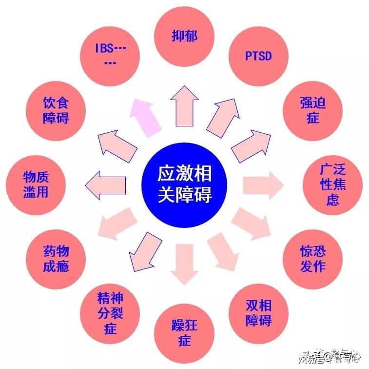 应激相关障碍具体包括：概念、分类及主要方面解析