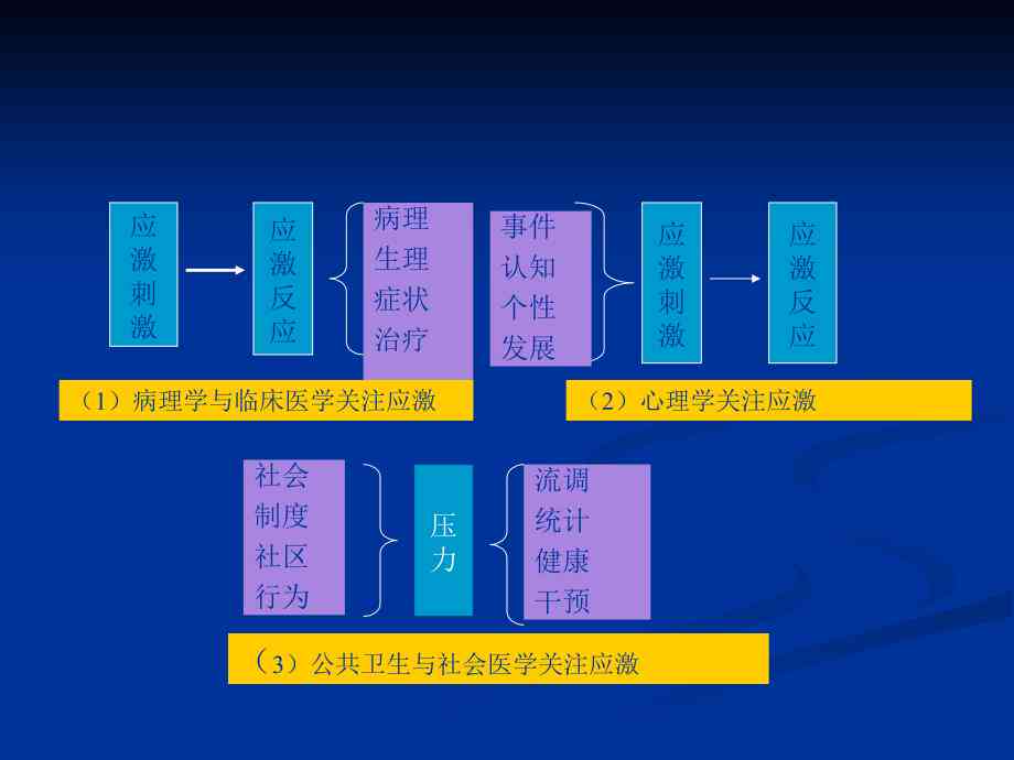 应激相关障碍具体包括：概念、分类及主要方面解析