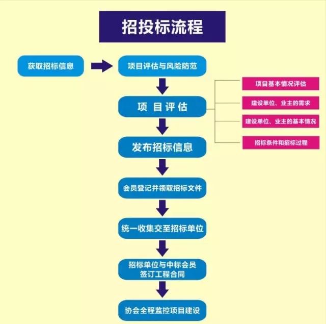 全面招投标流程汇报及项目管理关键要点解析材料