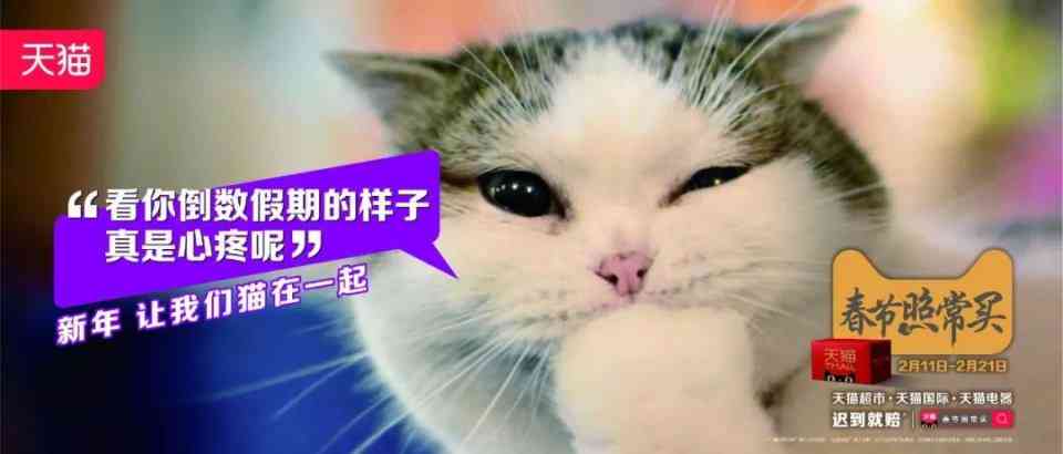 抖音小猫ai变身文案是什么