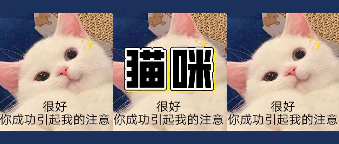 抖音小猫ai变身文案是什么