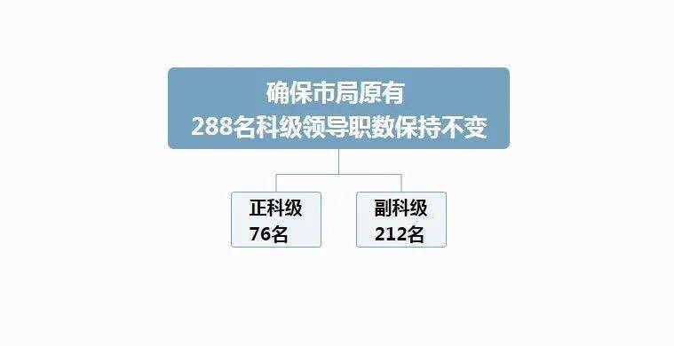 专门写报告的：部门、人员、军人及房间全解析