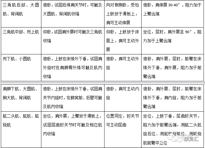 强制性脊椎炎工伤等级认定全解析：申请流程、评定标准与补偿待遇一览