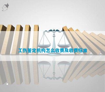 工伤鉴定律师费用解析：各类工伤鉴定服务收费标准一览