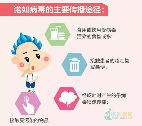 疟疾患者能否实现自愈：探讨自愈可能性与治疗策略