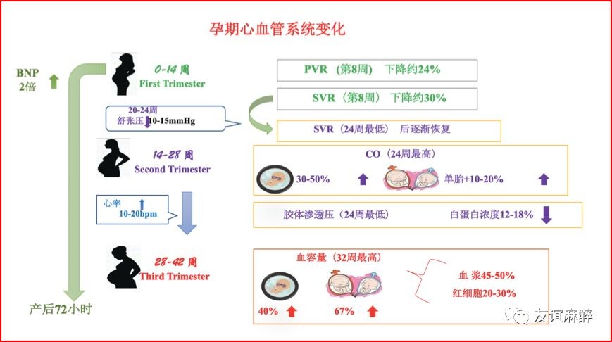 探讨心脏病手术对女性生育能力及未来生育计划的影响