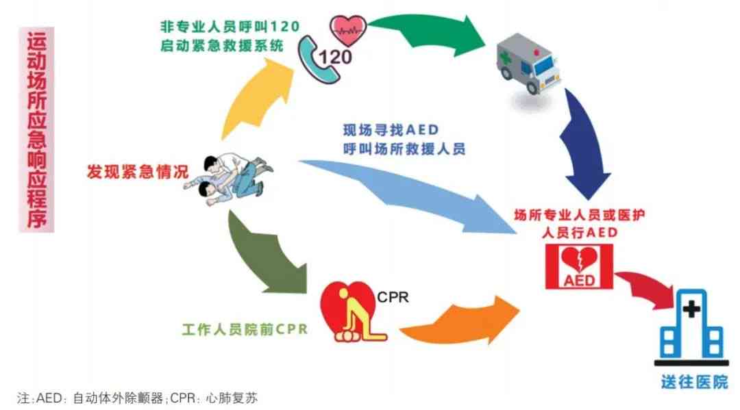 探究心跳过速的生命风险：原因、症状与紧急应对措