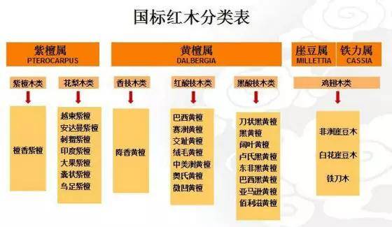 心血管塞患者生存年限预测与关键治疗策略解析