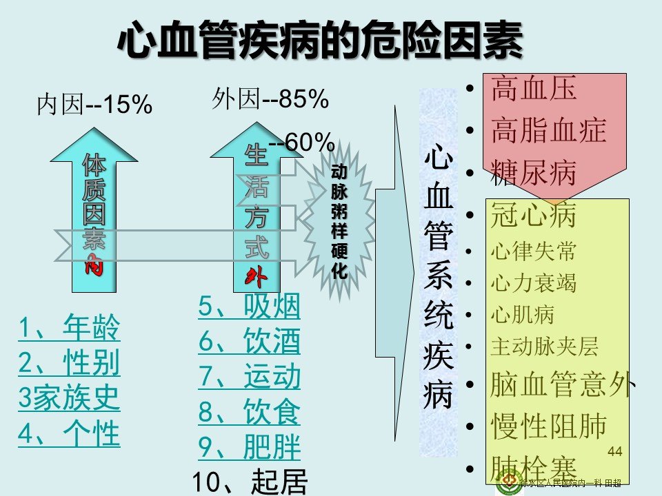 全面解析：心血管疾病的分类、成因、症状与预防策略