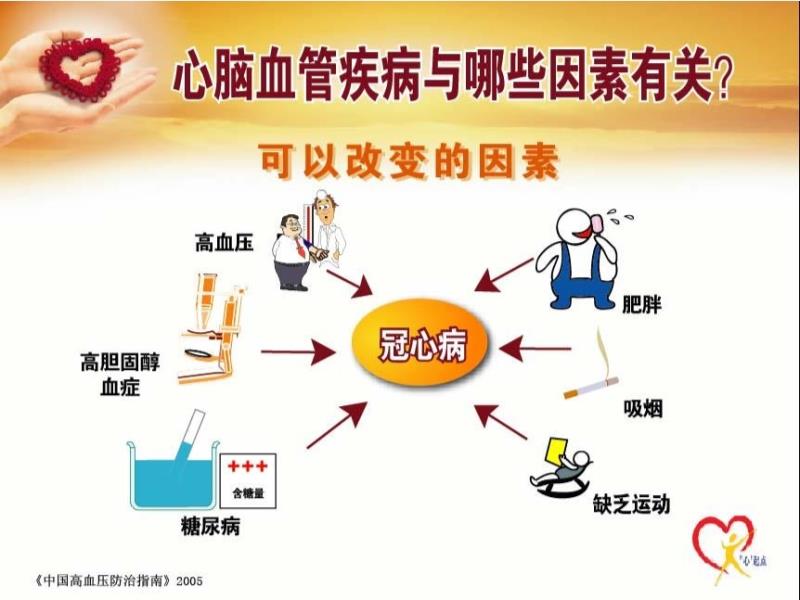 全面解析：心血管疾病的分类、成因、症状与预防策略