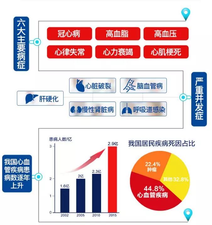 全面解析：心血管疾病的分类、成因、症状与预防策略