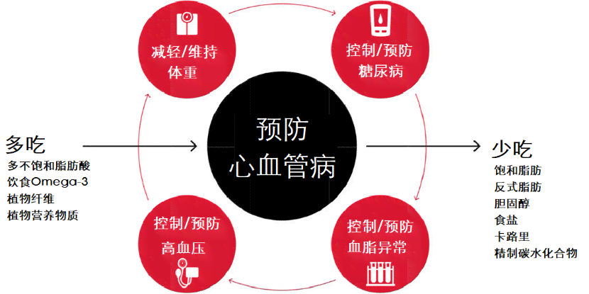 全面解析：心血管疾病的分类、成因、症状与预防策略