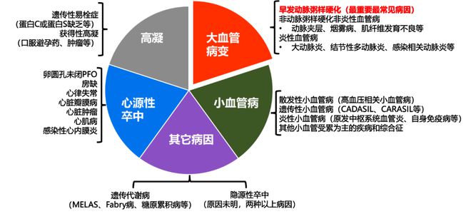 全面解析：心血管疾病的分类、成因、症状与预防策略