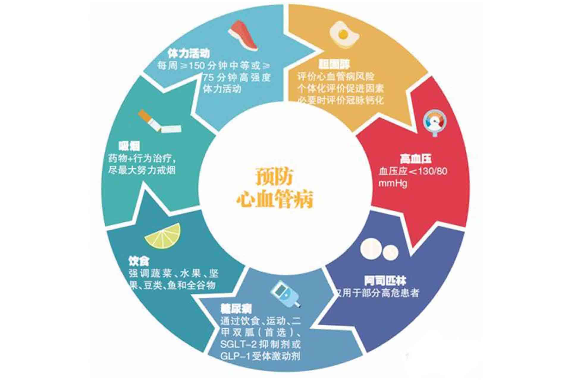 全面解析：心血管疾病的分类、成因、症状与预防策略