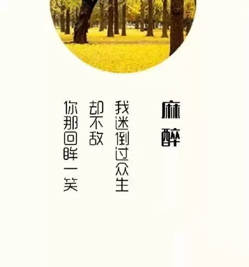 创新意三行情书作词攻略：浪漫表白、爱情语录、诗意创作指南