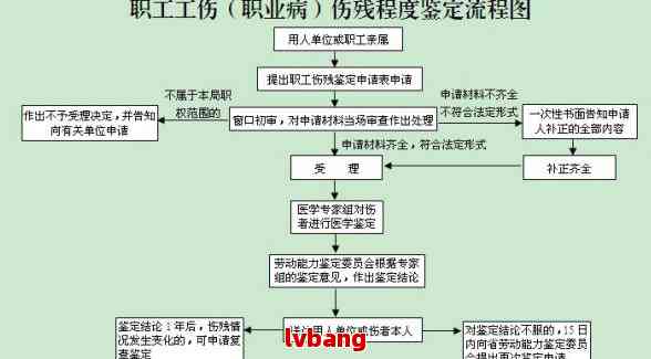 工伤残疾鉴定申请流程详解：步骤指南与必备材料