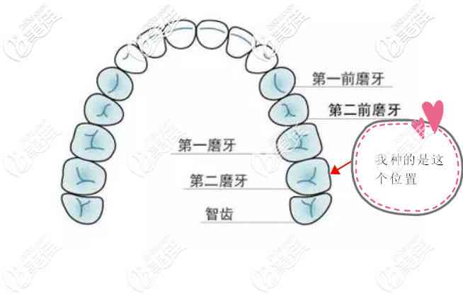 探讨牙齿缺失数量与伤残等级评定标准的关系