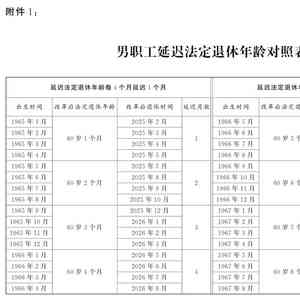 深入解析：派大星intp性格特征及其在社交、职业中的影响与适应策略