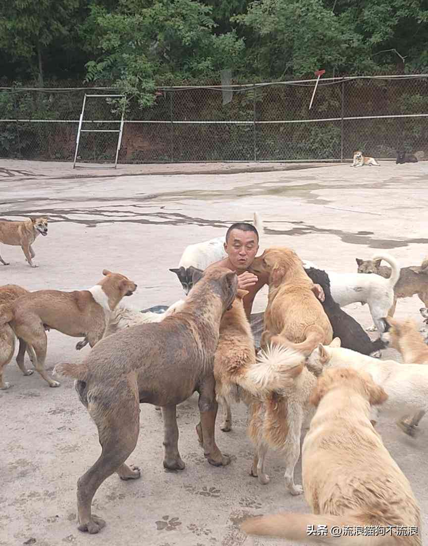 工伤认定与赔偿指南：生病能否算工伤及详细赔偿流程与标准