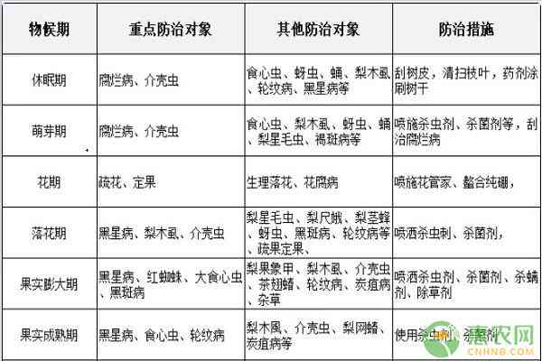 工伤认定周期详解：生病后如何判断工伤等级及所需时间