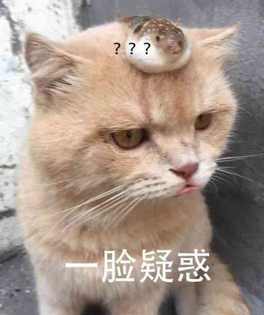 晒猫猫的文案：搞笑短句集锦，朋友圈必备猫咪晒照文案