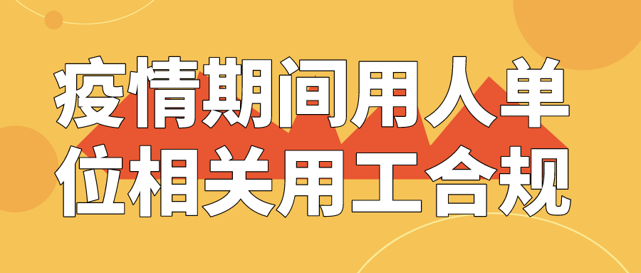 用工主体、用人单位及劳动者权益保障全景解析