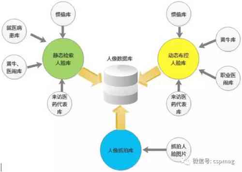 全面解析：人物模型数据采集、处理与应用攻略