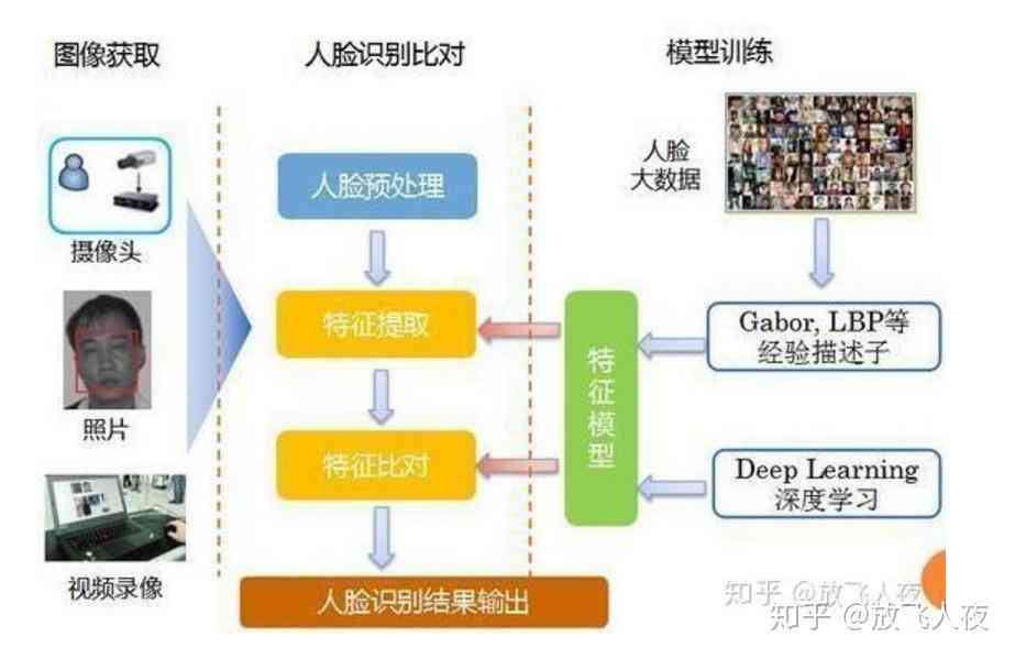 全面解析：人物模型数据采集、处理与应用攻略