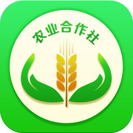 用工关系能不能认定工伤：如何准确判断与处理用工关系认定问题