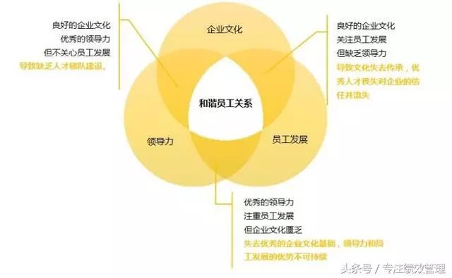 解析现代企业用工关系：劳动者权益与企业管理新视角