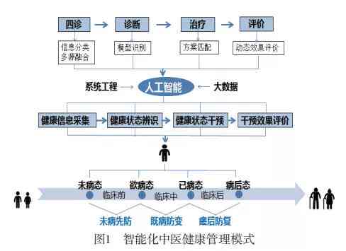 '基于人工智能技术的智慧中医诊断与治疗方案系统'