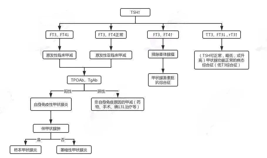 甲状腺功能进症能否被认定为工伤：详细解析与条件探讨