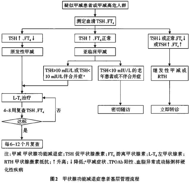 甲状腺功能减退症是否属于工伤：详解甲减与职业病的关联及认定标准