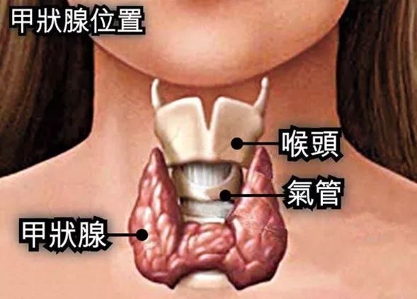 甲状腺癌手术后的工伤等级鉴定与劳动能力评估指南