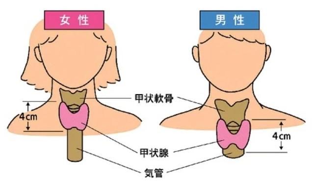 甲状腺癌能否认定工伤事故等级及是否可以认定工伤