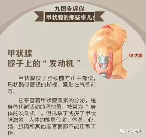 甲状腺癌：探讨其工伤等级认定的可能性与条件