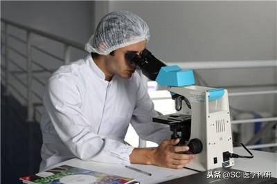 什么是AI写作助手：好用与否、SCI适用性、收费情况及使用方法一览