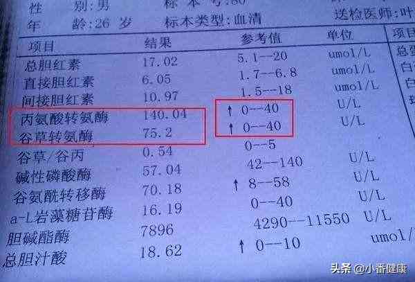 医疗报告解读神器：推荐使用哪些软件高效查看医院检验报告单