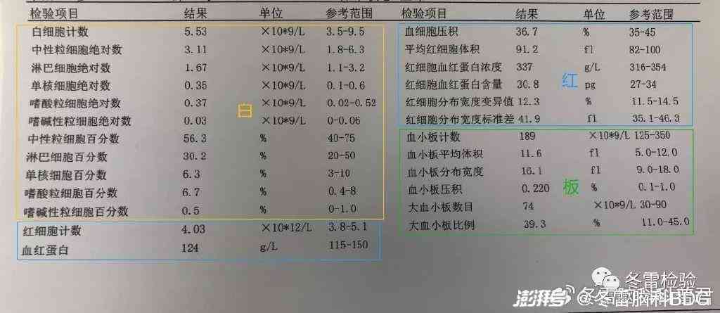 患者如何准确解读医院检验报告单及常见问题解析