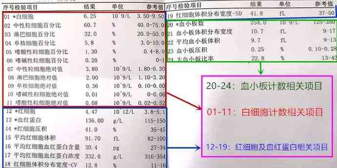 患者如何准确解读医院检验报告单及常见问题解析